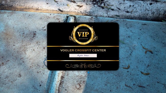 VIP Member Lebih Dulu Dapat Info Game Gacor